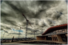 Grues triple dose de HDR