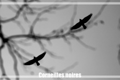 D52_S5_1280