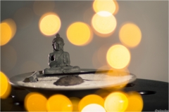 Image candidate Défi 52 Semaine 1 : Le Bokeh