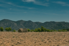 [Défi 52] Thème semaine n°30: Balots de paille dans le paysage
