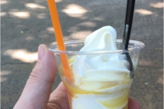 PineApple_WHIP2_1024