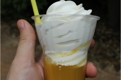 PineApple_WHIP_1024