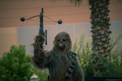 Hollywood_Studios-21