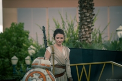 Hollywood_Studios-27