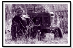 Tracteur VINEYARD rouillant au soleil