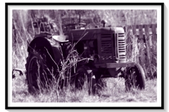 Tracteur VINEYARD rouillant au soleil