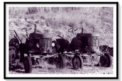 Vieux couple de MASSEY FERGUSSON rouillant au soleil