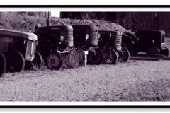 Alignement de vieux tracteurs, dont 2 MASSEY - HARRIS