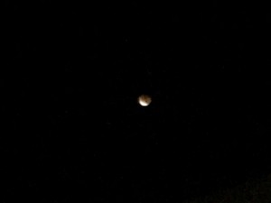 Photo de l’éclipse lunaire du 28 Septembre 2015 : FAIL